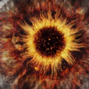 Meet your Posher, Kelvin